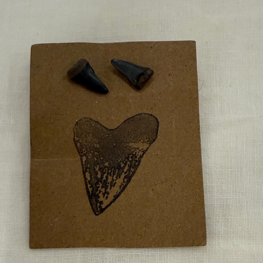 Authentic Fossil Shark Teeth Earrings